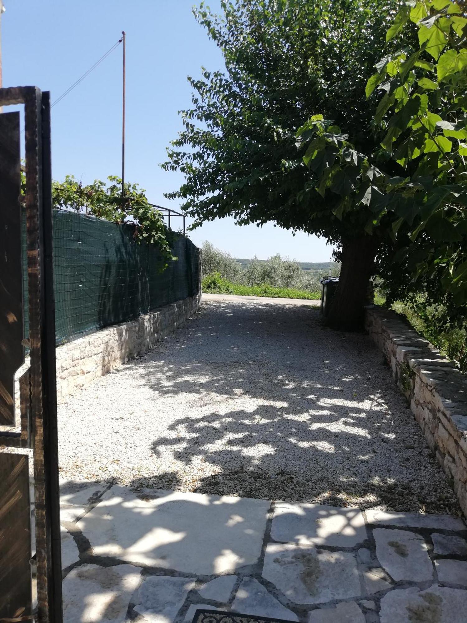 Lory Βίλα Sveti Lovreč Pazenatički Εξωτερικό φωτογραφία